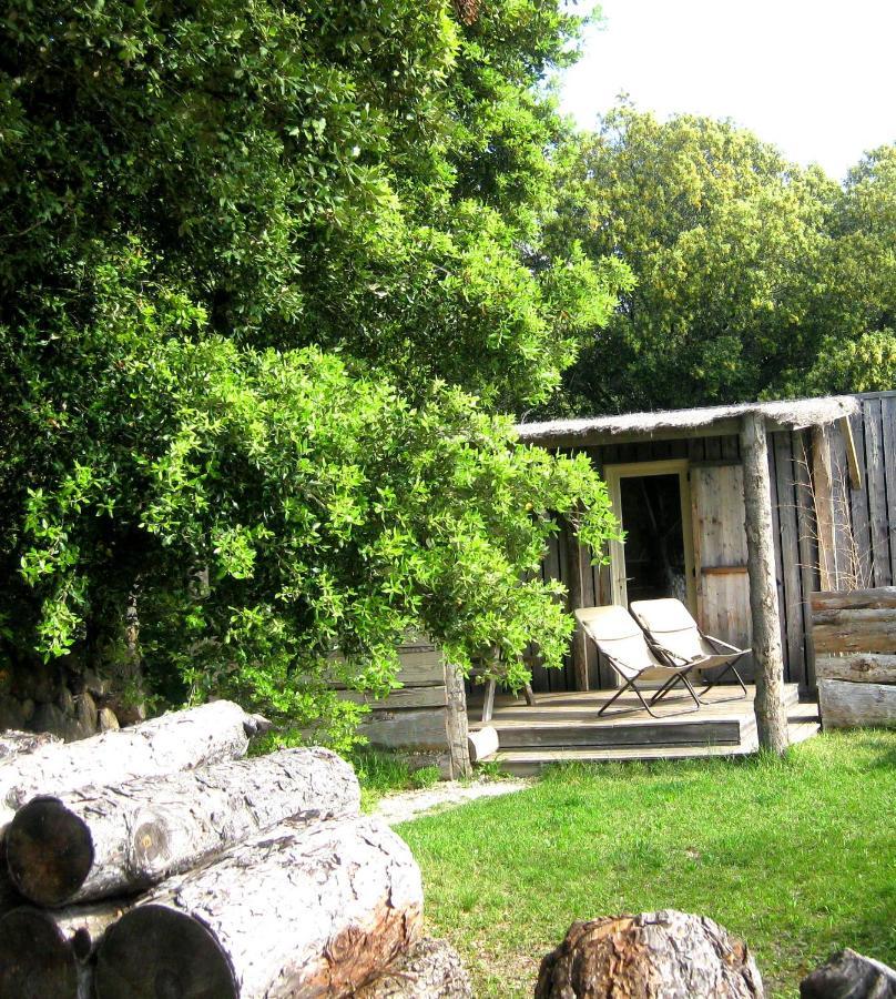 Lodges En Provence - Ecogites & Restaurant Insolites Richerenches Eksteriør bilde