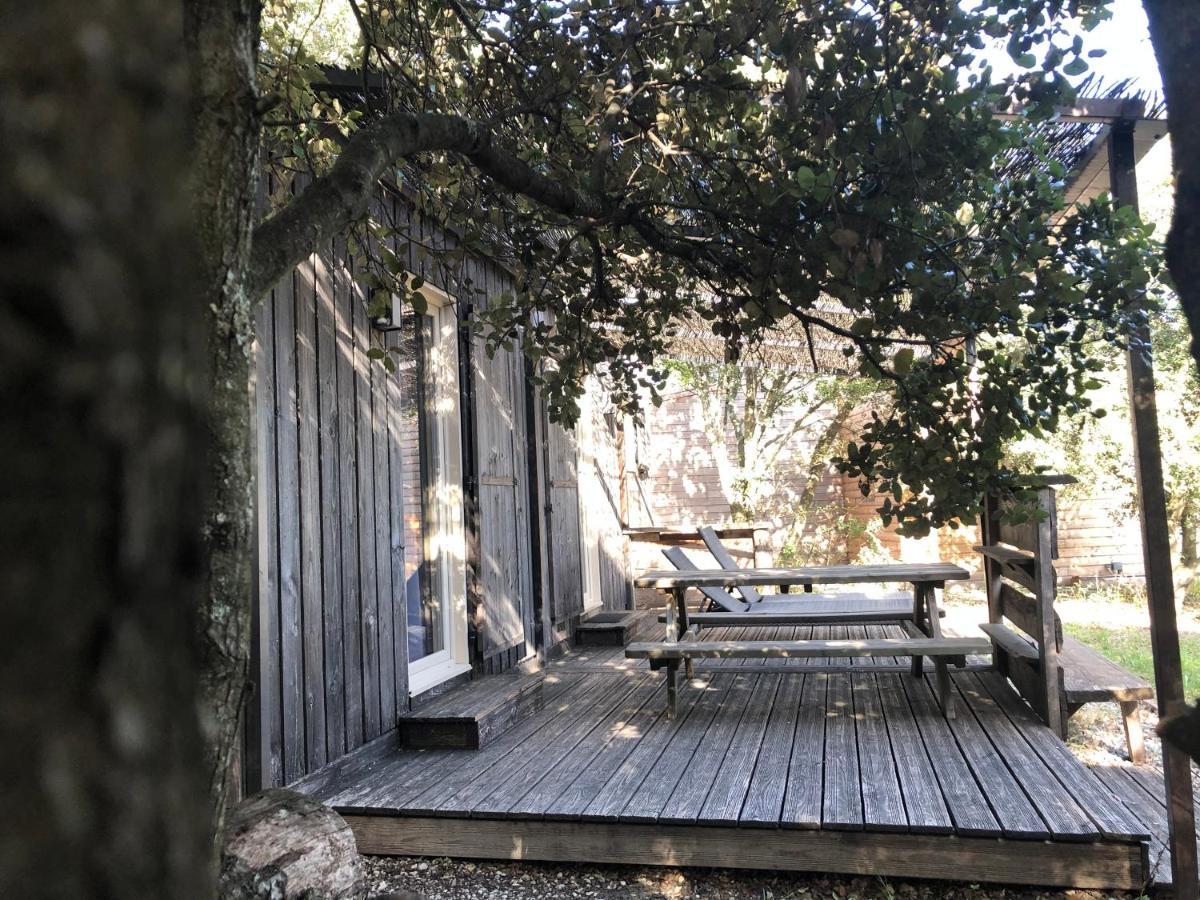 Lodges En Provence - Ecogites & Restaurant Insolites Richerenches Eksteriør bilde