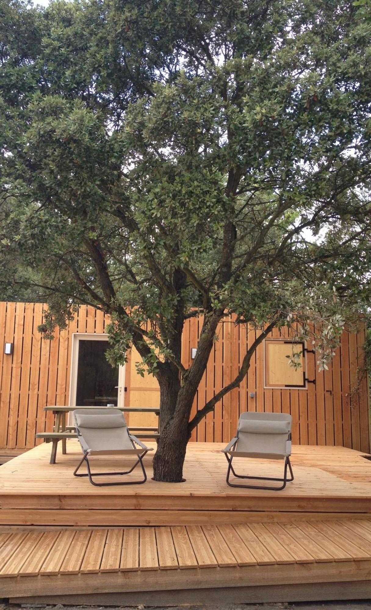 Lodges En Provence - Ecogites & Restaurant Insolites Richerenches Rom bilde